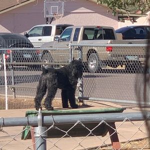 Meet your Posher, Cecilia